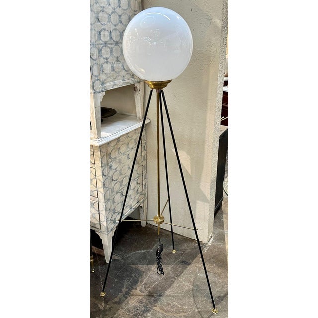 Murano Glass and Brass Globe Floor Lamp Chairish
