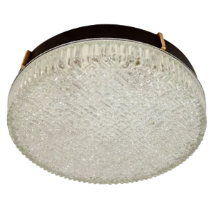 Large Flush Mount Glass Pendant / Wall Light by N. Leuchten