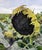 Oil Painting Seeds for the Future Harvest Varvarov Anatoly Viktorovich For Sale