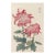 Pink Chrysanthemums, Vintage Japanese Botanical Art Print, 24" X 36" For Sale