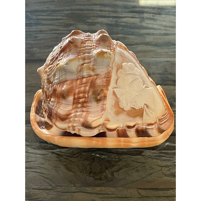 Italian 1940s Hand Carved Sea Shell With Cameo Portrait For Sale - Image 3 of 8