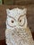 Mid-Century Modern Vintage Seashell Encrusted Owl Sculpture For Sale - Image 3 of 12