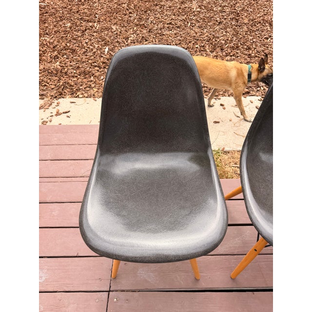 Eames Case Study® Fiberglass Dowel Side 6 Chairs Mid-Century For Sale - Image 4 of 5