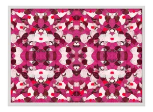 Morpho, Pink, Framed Artwork