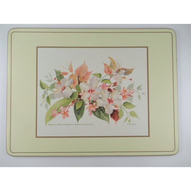 Vintage Pimpernel Placemats Hibiscus Cork Back Original Boxes Made in England Set of 8 Chairish