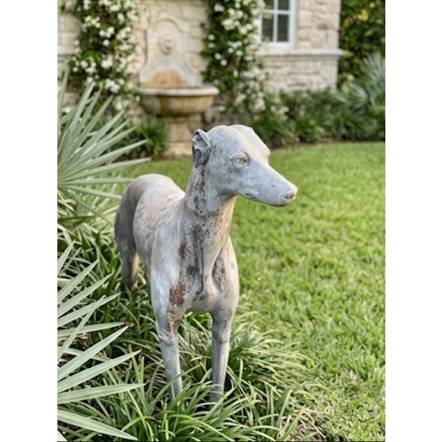 Vintage Cast Lead Greyhound / Whippet Garden Statue For Sale - Image 11 of 12