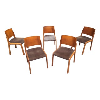 Vintage Chairs in Light Wood and Fabric Seat with Curved Backrest, 1960s, Set of 5 For Sale