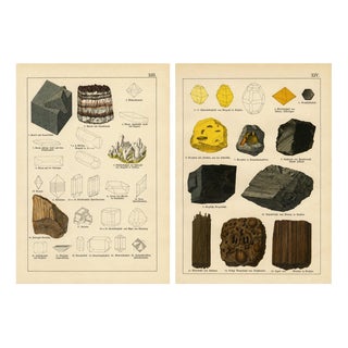 Kenngott, Set of Two Mineralogy Chromolithographs, Fluorite, Amber & Coal, 1888, Paper For Sale