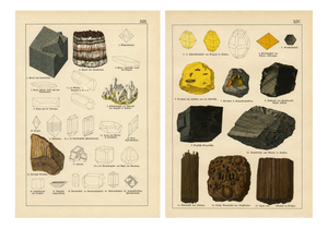 Kenngott, Set of Two Mineralogy Chromolithographs, Fluorite, Amber & Coal, 1888, Paper
