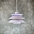 Metal Vintage Danish Horn Ceiling Lamp in Violet, 1970s For Sale - Image 7 of 7