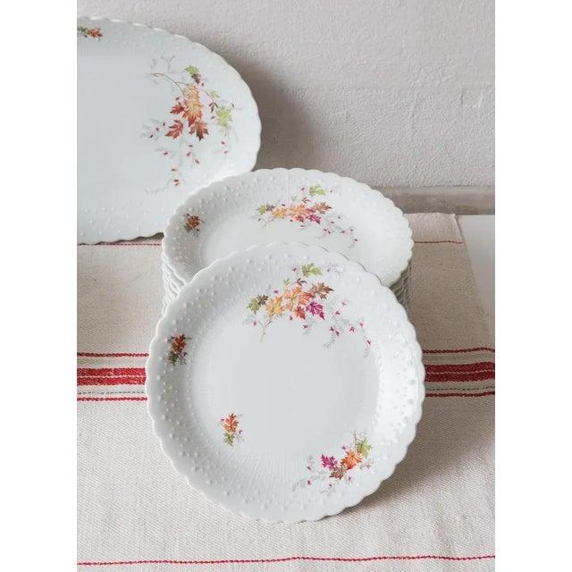 Orange Dishes and Source from Limoges, 1950s, Set of 19 For Sale - Image 8 of 12