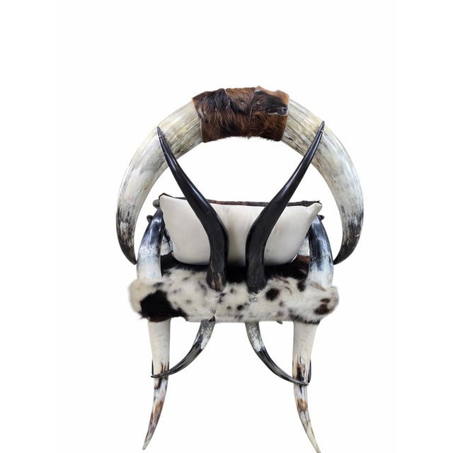 Brown Antique Rustic Western Steer Horn Chair For Sale - Image 8 of 8