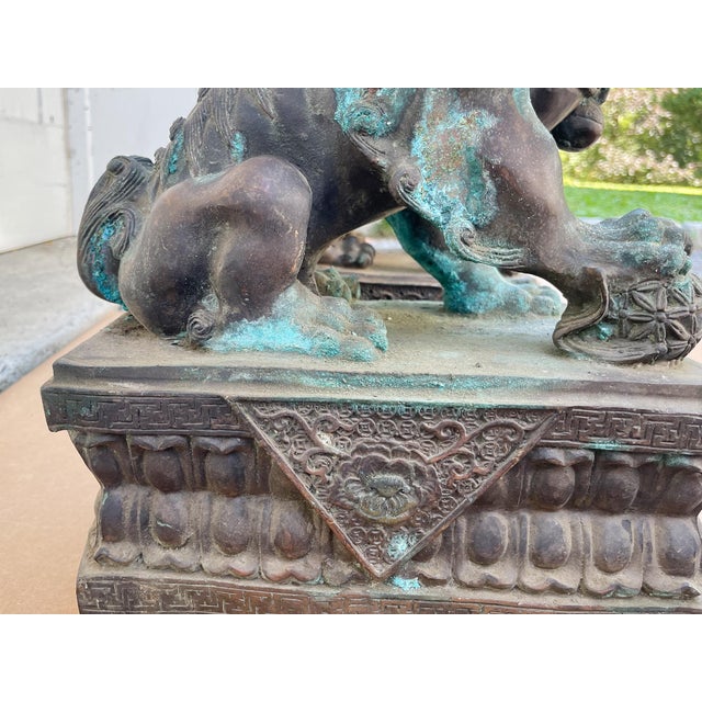 Antique Bronze Guardian Lions or Foo Dogs - A Pair For Sale - Image 11 of 17