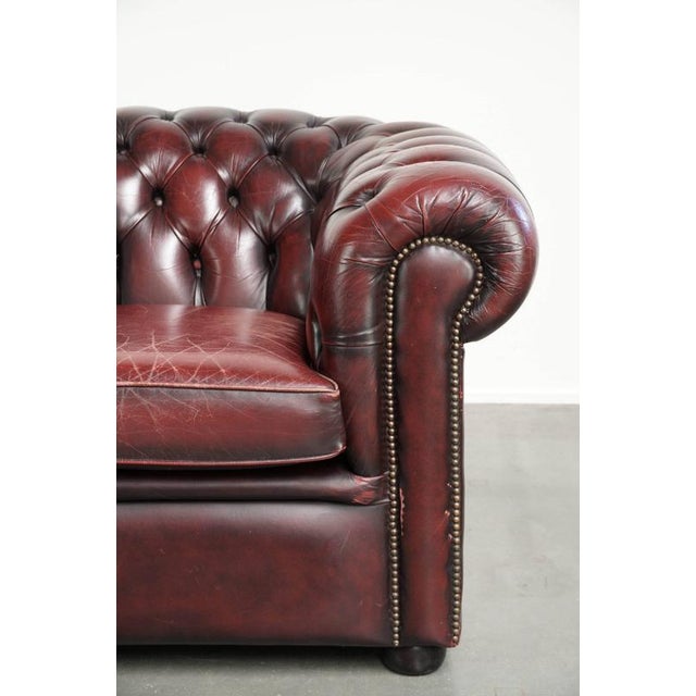 English Chesterfield Club Armchair For Sale - Image 9 of 14