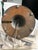 Lightolier 1950s Floor Lamp Attributed to Gerald Thurston For Sale - Image 4 of 12