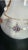 This very nice antique art nouveau coffee service for 2 includes the pot, lid, and 2 each of dessert plates, saucers and...