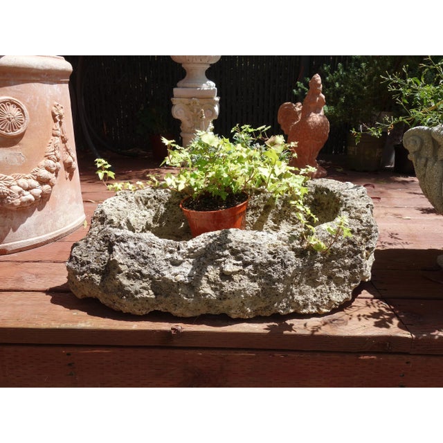 Old Italian Primitive Fossil Stone Trough Hand Carved from Ancient Limestone For Sale In San Diego - Image 6 of 12