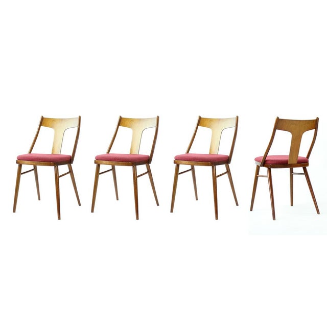 Dining Chairs in Wood and Pink from Tatra, 1960s, Set of 4 For Sale - Image 13 of 13