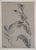 Maximilien Luce, Study of Leaves, Original Drawing For Sale - Image 6 of 6