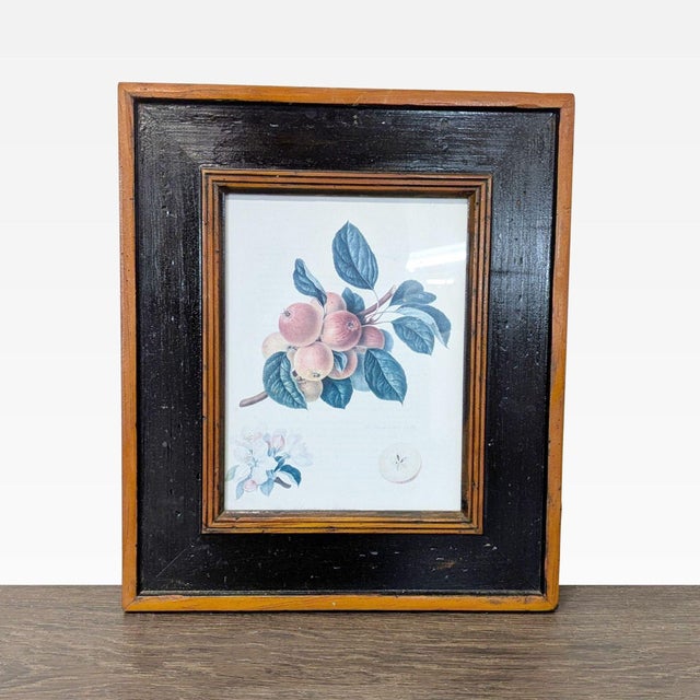 This set includes three framed botanical prints featuring detailed illustrations of fruit. Each print is displayed in a...