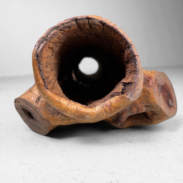 Wabi-Sabi Japanese Koboku Hanaire Tree Trunk, 1960s For Sale - Image 10 of 16