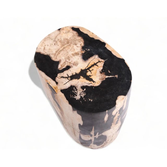 Large Oval Petrified Wood Accent Table or Side Table 1 For Sale - Image 11 of 11