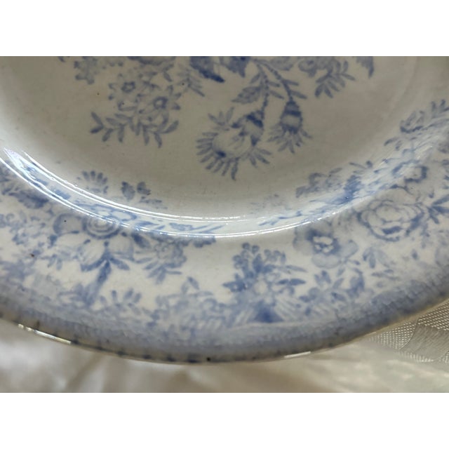 Mid 19th Century Mid 19th Century Asiatic Pheasant Dinner Plate For Sale - Image 5 of 12