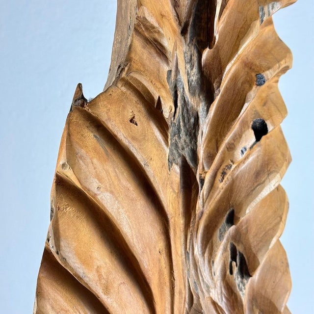 Italian Phytomorphic Abstract Sculpture in Natural Ash, 1960s For Sale - Image 10 of 18