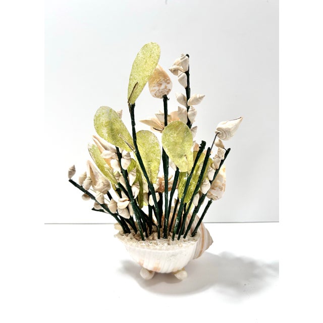 Traditional Vintage Shell Flower Arrangement in Conch Shell Vase – Mid-Century Coastal Seashell Sculpture For Sale - Image 3 of 11