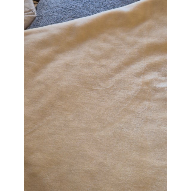 2000 - 2009 Fawn Beige Imported Belgium Vintage Mohair Velvet 2.8 Yards For Sale - Image 5 of 6