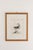 18th Century Framed Hand Colored Bird Engravings From Italy Reproduction - Set of 9 For Sale - Image 6 of 12