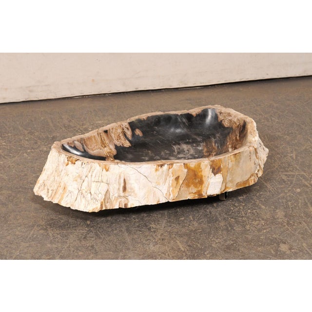 A single petrified-wood wash basin in a shapely, oblong form. This petrified wood sink has a polished finish basin, making...