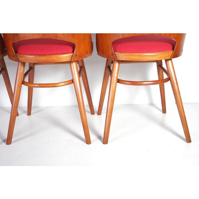 Dining Chairs by Oswald Heardtl for Ton, Set of 4 For Sale - Image 15 of 18