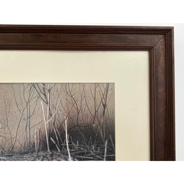Charles Fracé “My Friend – Eastern Cottontail” Limited Edition Wildlife Print For Sale In Orlando - Image 6 of 14