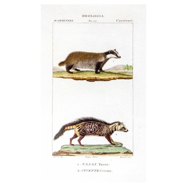 Pierre Jean François Turpin, Tasso-Cevetta, Etching, 1831 For Sale