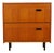 Vintage Shoe Cabinet in Teak, 1960s For Sale