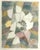 Artist: Ansei Uchima (Japan, 1921-2000) Title: Narcissus Date: 1981 Medium: Etching on Paper Place: Tokyo, Japan This nice...