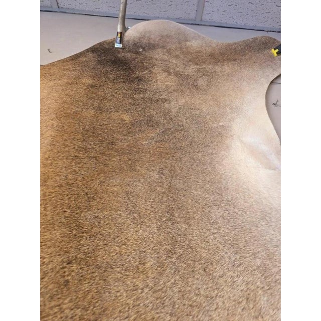 Large Beige and Brown Cowhide Rug For Sale - Image 12 of 18