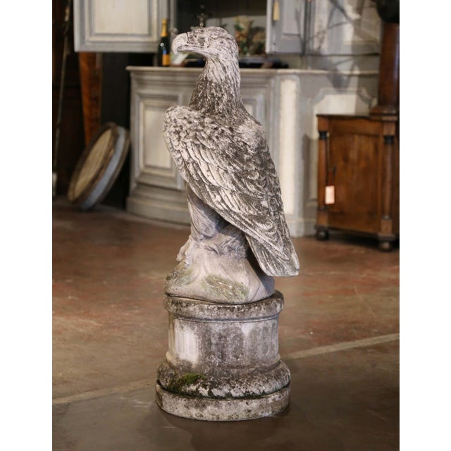 Sculpture Materials Mid Century French Cast Stone Eagle Garden Sculpture on Pedestal For Sale - Image 7 of 10