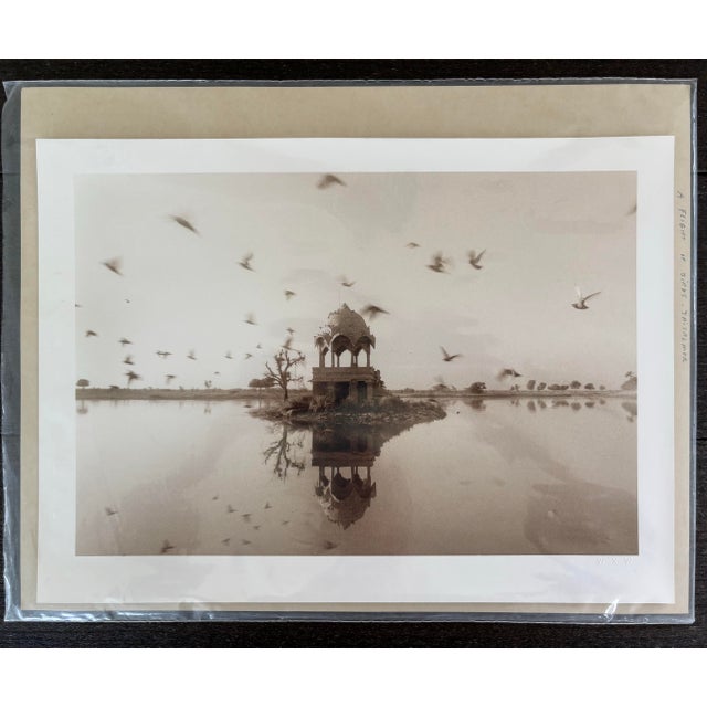 Contemporary Waswo X. Waswo Signed Sepia Toned Silver Gelatin Photograph “A Flight of Birds Jaisalmer” For Sale - Image 3 of 11