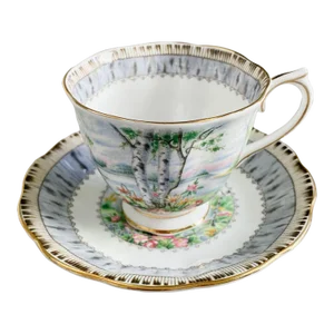 1930s Vintage Royal Albert Silver Birch Teacup and Saucer Set- 2 Pieces