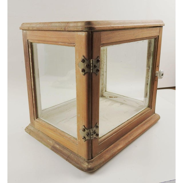 Vintage Tabletop Display Case Curio Cabinet Chairish