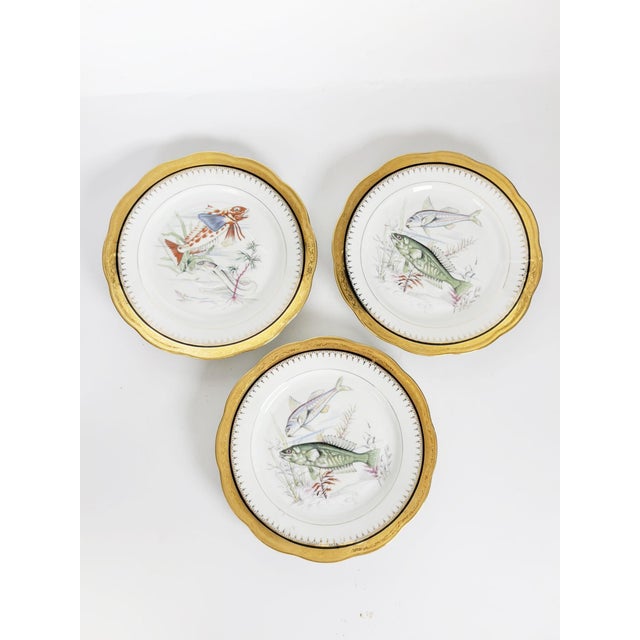 These are the dimensions of a single plate. Decorative set of three French ceramic plates featuring finely illustrated...