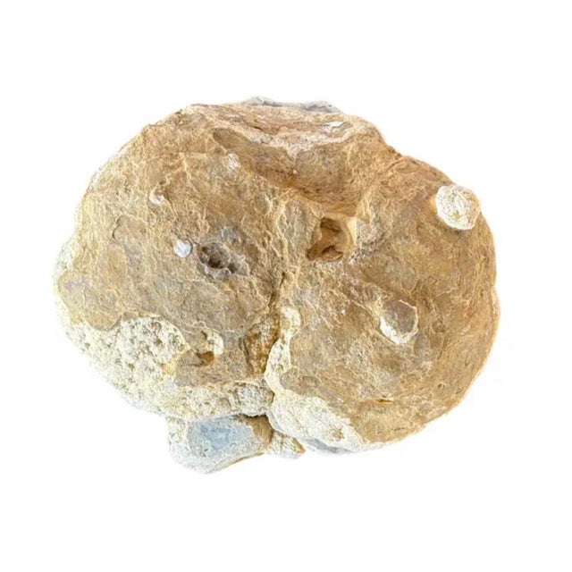 Brown Large Natural Split Pair Crystal Quartz Geode. #2 For Sale - Image 8 of 12