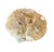 Brown Large Natural Split Pair Crystal Quartz Geode. #2 For Sale - Image 8 of 12