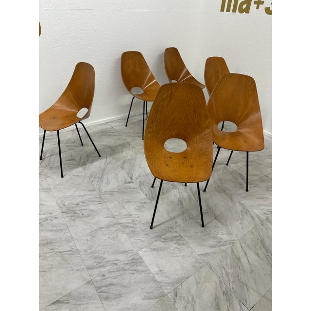 1950s Set of 6 Medea Chairs by Vittorio Nobili, 1950s For Sale - Image 5 of 10