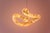 Aqua Fossil Light V Pendant Lamp in Alabaster by Amarist Studio For Sale - Image 10 of 12