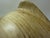 Late 20th Century Sarreid Ltd. Style Large Carved Wood Conch Shell Sculpture on Acrylic Base For Sale - Image 9 of 18