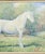 1950s Vintage 1954 Impressionist Painting Portrait of White Horse Signed g.v. Conradt For Sale - Image 5 of 8