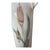 An elegant tall ceramic vase featuring soft green leaves and brown cattails against an ivory glazed background. Its...